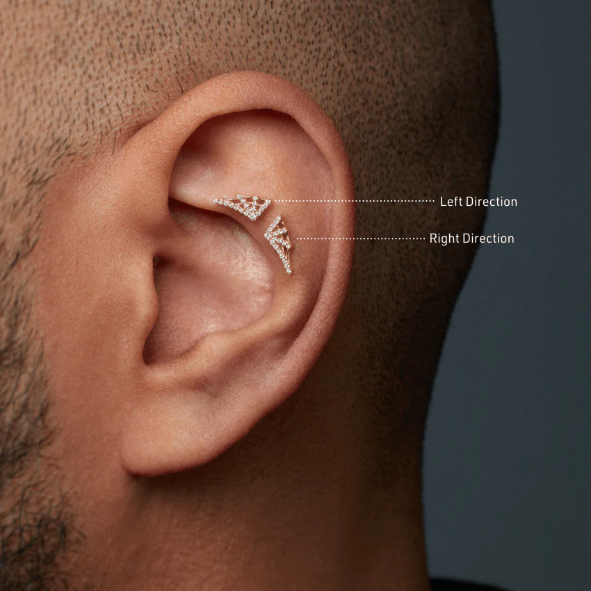 Diamond Web Threaded Stud Earring With Titanium Backing - Image 13
