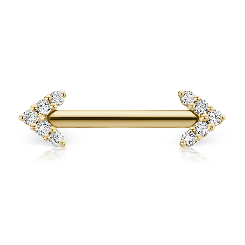 Double Diamond Arrow Nipple Barbell - Image 50