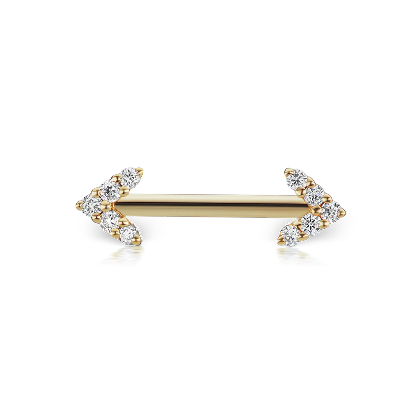 Double Diamond Arrow Nipple Barbell - Image 72