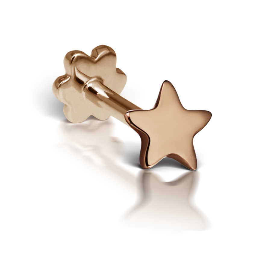 Plain Star Threaded Stud Earring With Titanium Backing - Image 10